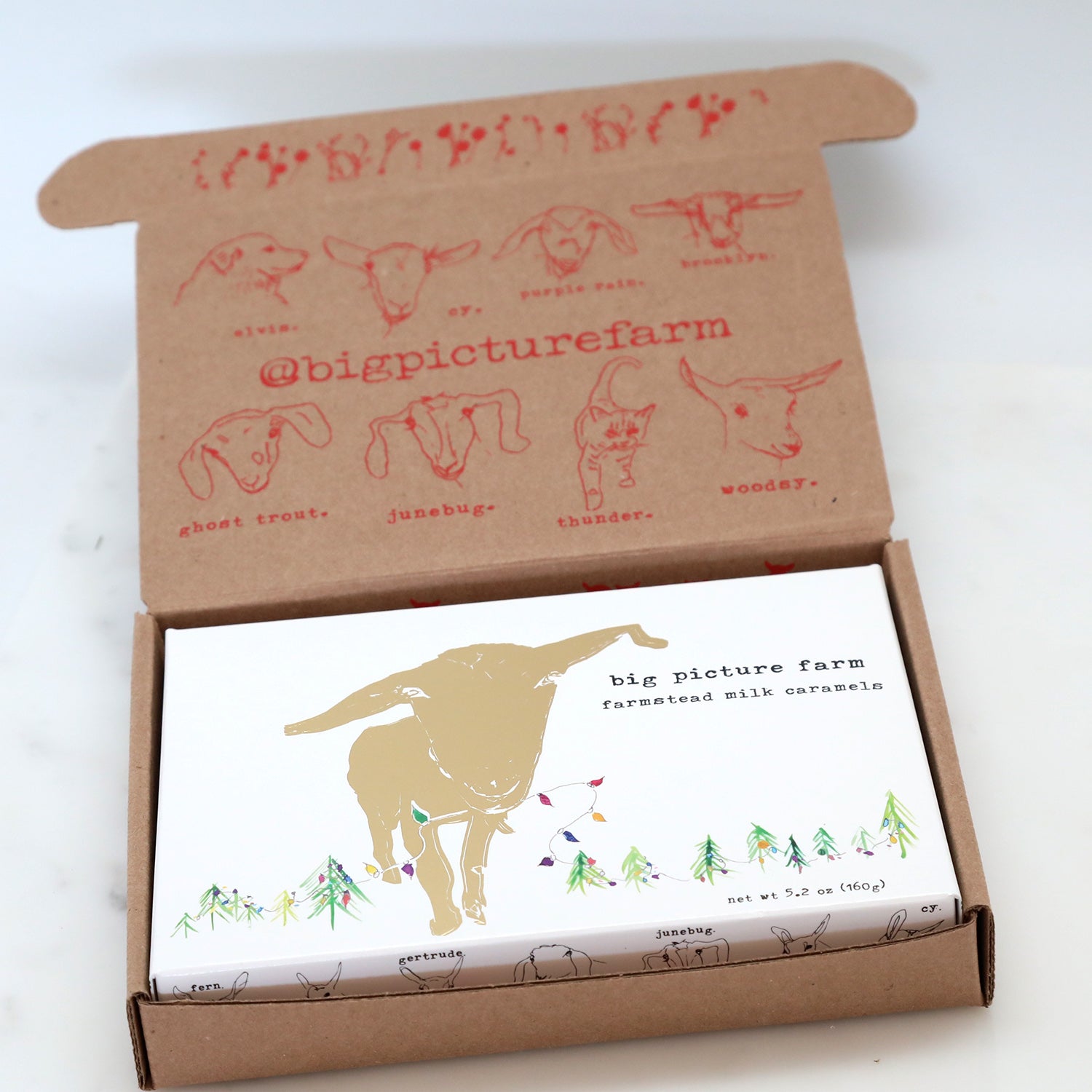 Golden Holiday Gift Box