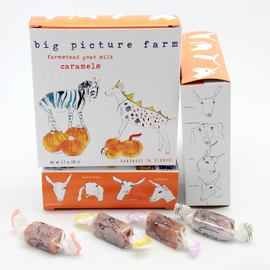 Costume Box