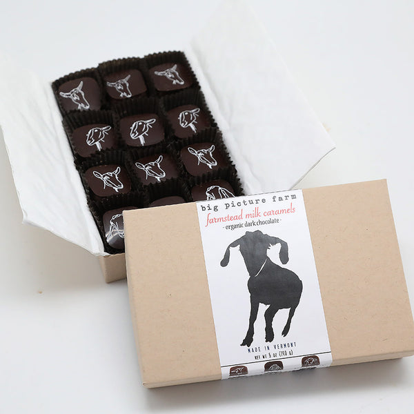 Chocolate Covered Goat Milk Caramels Big Picture Farm