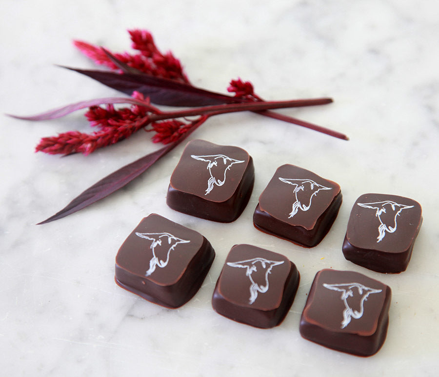 Chocolate Covered Goat Milk Caramels