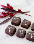Chocolate Covered Goat Milk Caramels