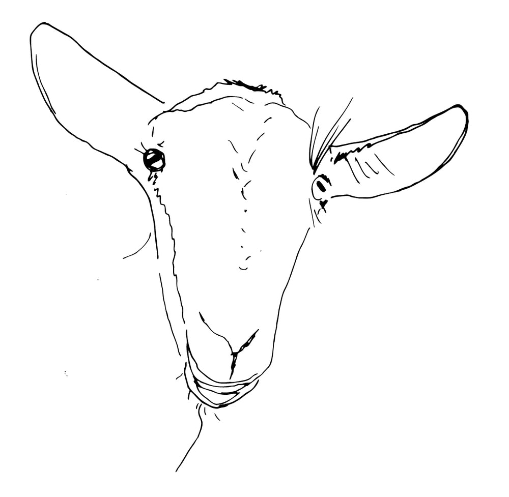 Cy