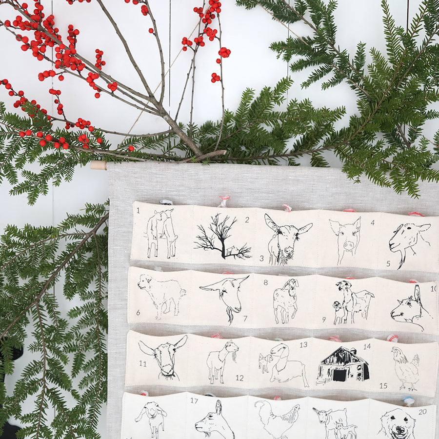 Big Picture Farm Advent Calendar