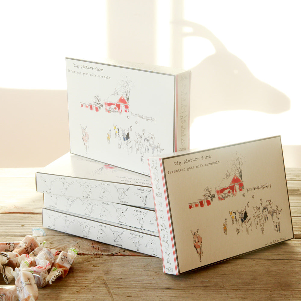 The "Gertrude Stein" Collection