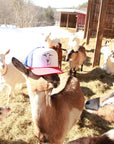 Logoat Trucker Hat