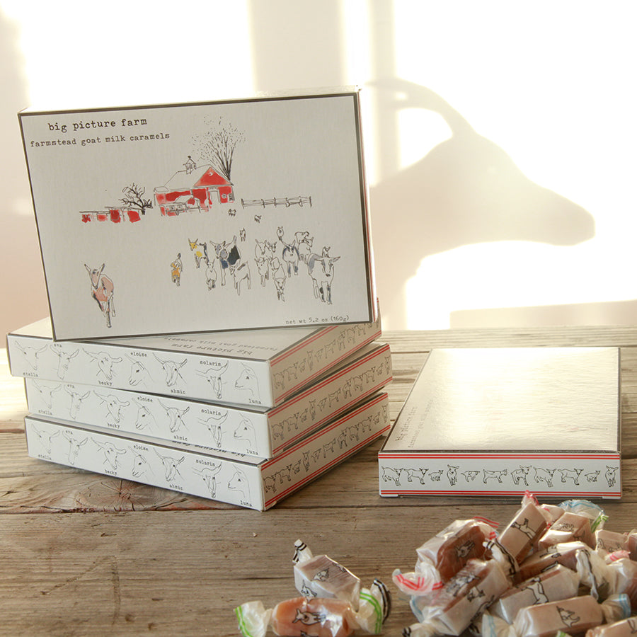 Storyboard Gift Box