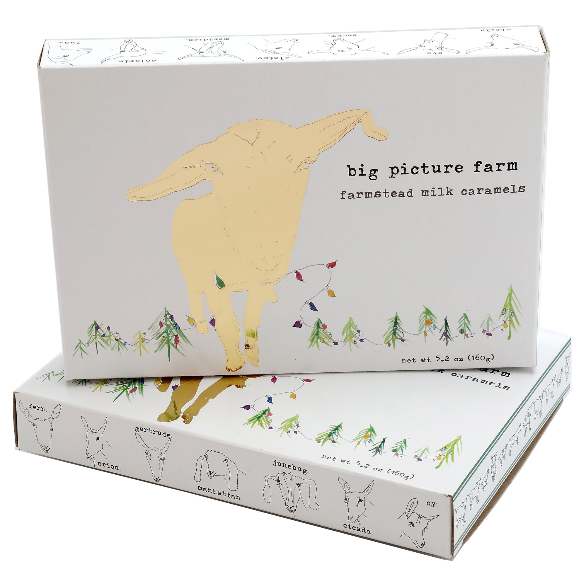 Golden Holiday Gift Box