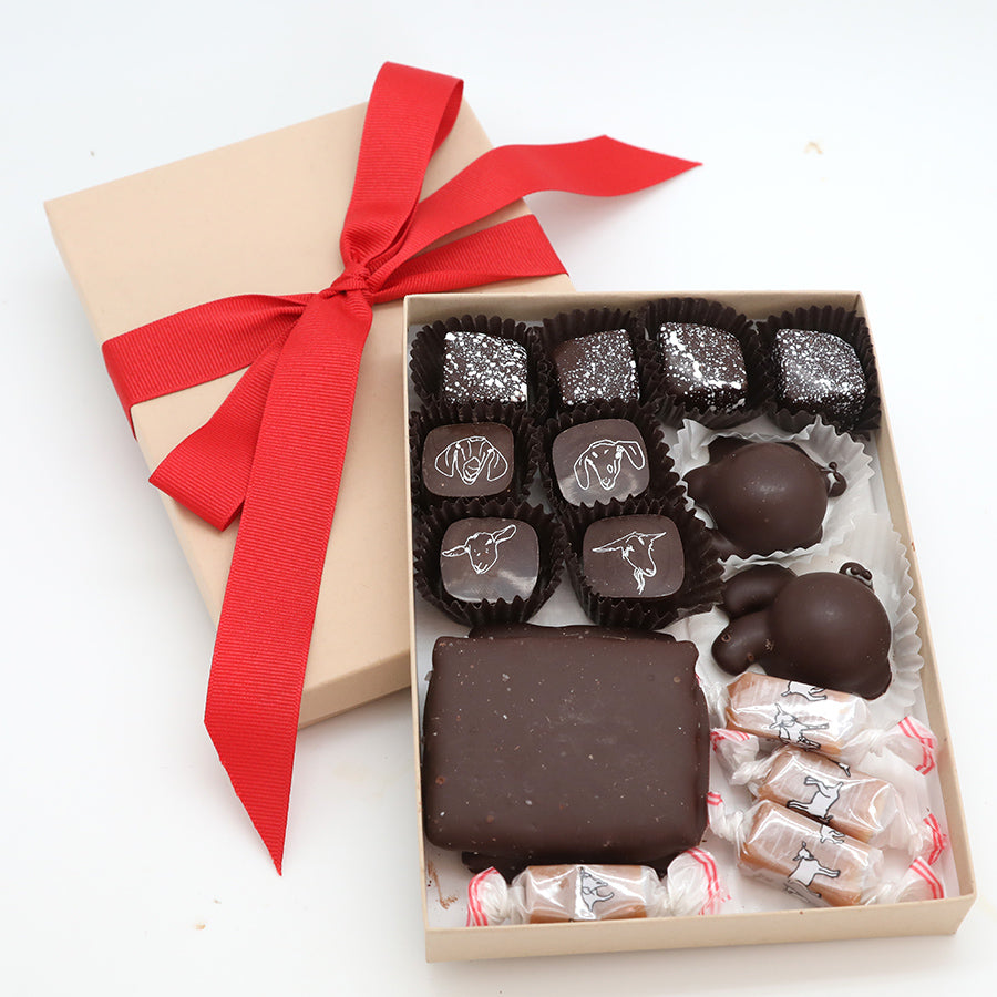 Delicious Chocolate Collection