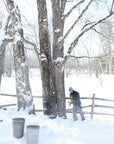 Vermont Maple Syrup