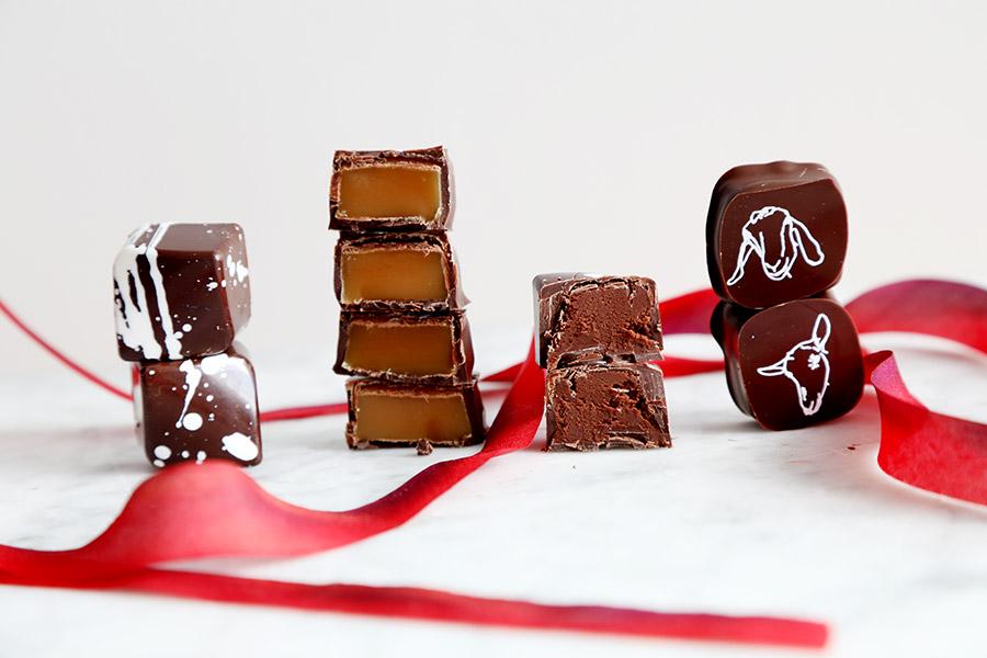 Delicious Chocolate Collection