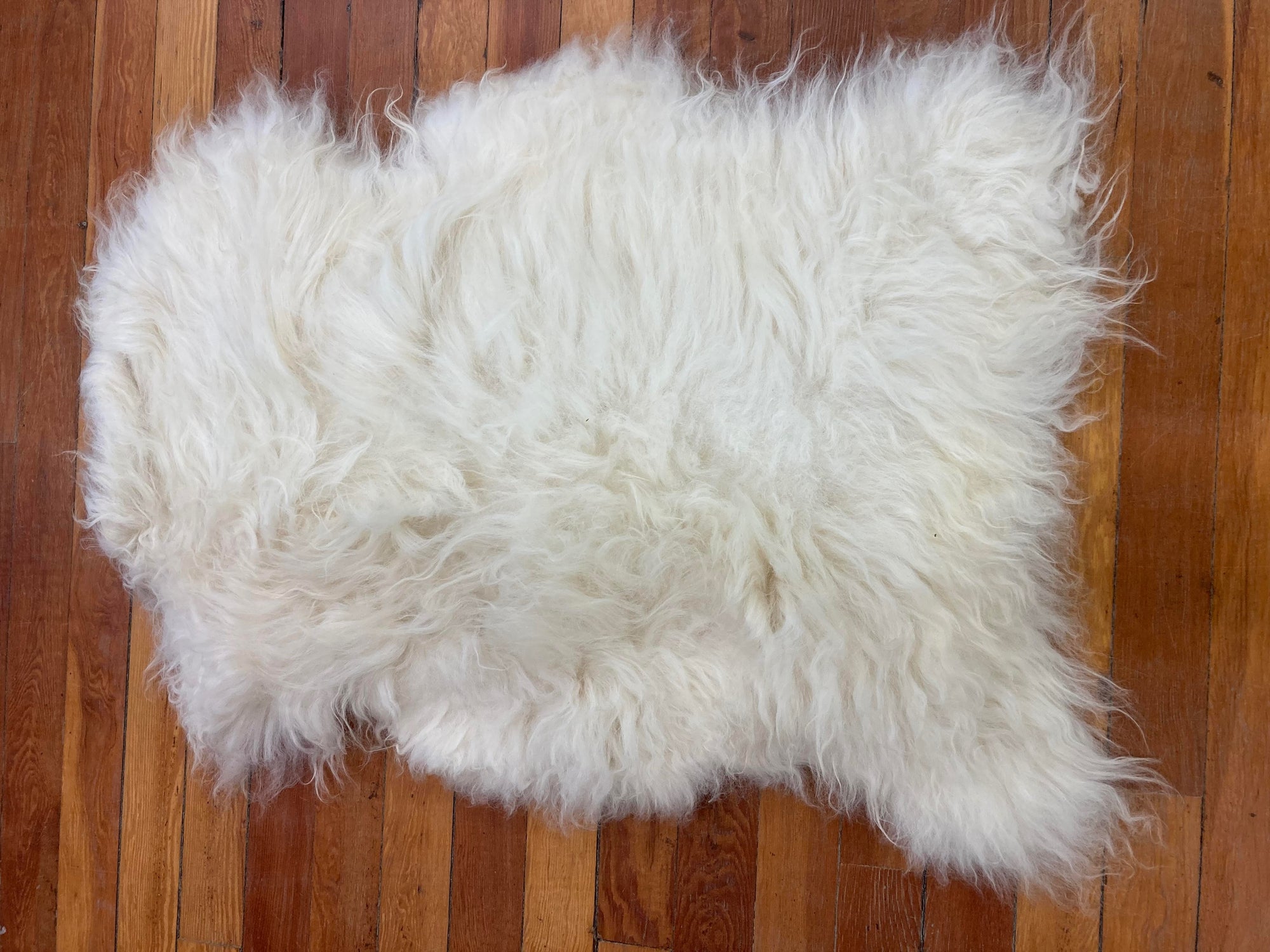 All white Icelandic Sheepskin Rug
