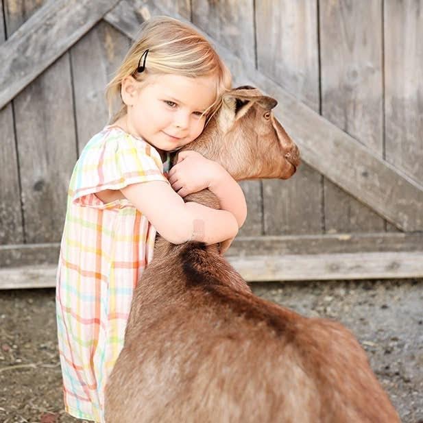 Private Goat Snuggle Experience
