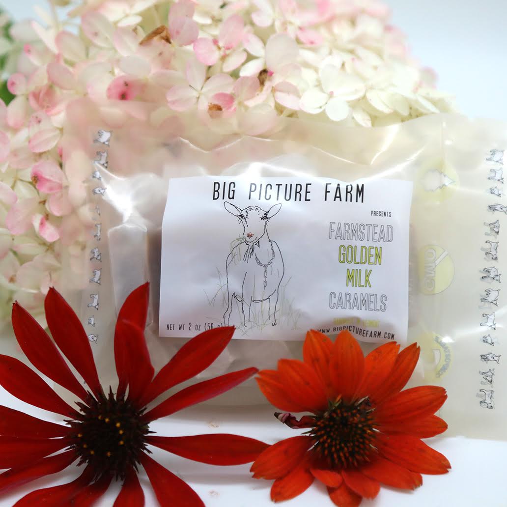 Golden Milk Pocket Pack