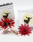 Full Moon Caramel Box