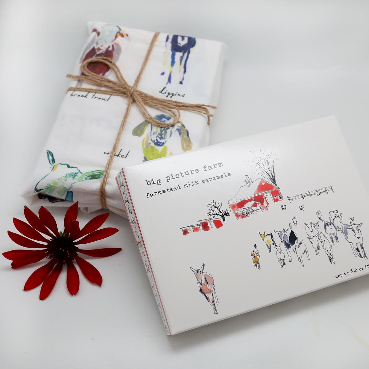 The Whole Colorful Herd Gift Box