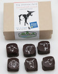 Chocolate Covered Goat Milk Caramels