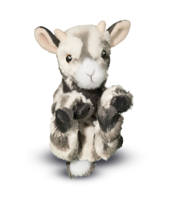 Lil Baby Goat