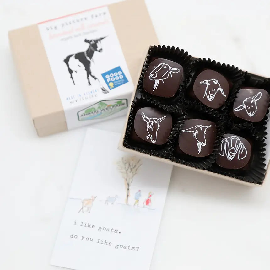 Chocolate Covered Goat Milk Caramels Big Picture Farm