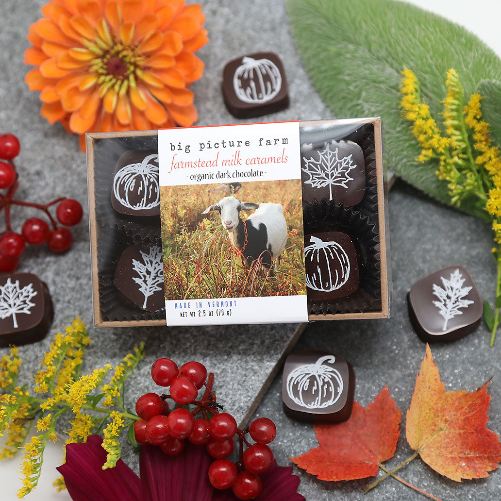 Autumn Glory Chocolate Sea Salt Vanilla Caramels