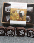 Autumn Glory Chocolate Sea Salt Vanilla Caramels