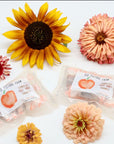 Cider Honey Pocket Pack