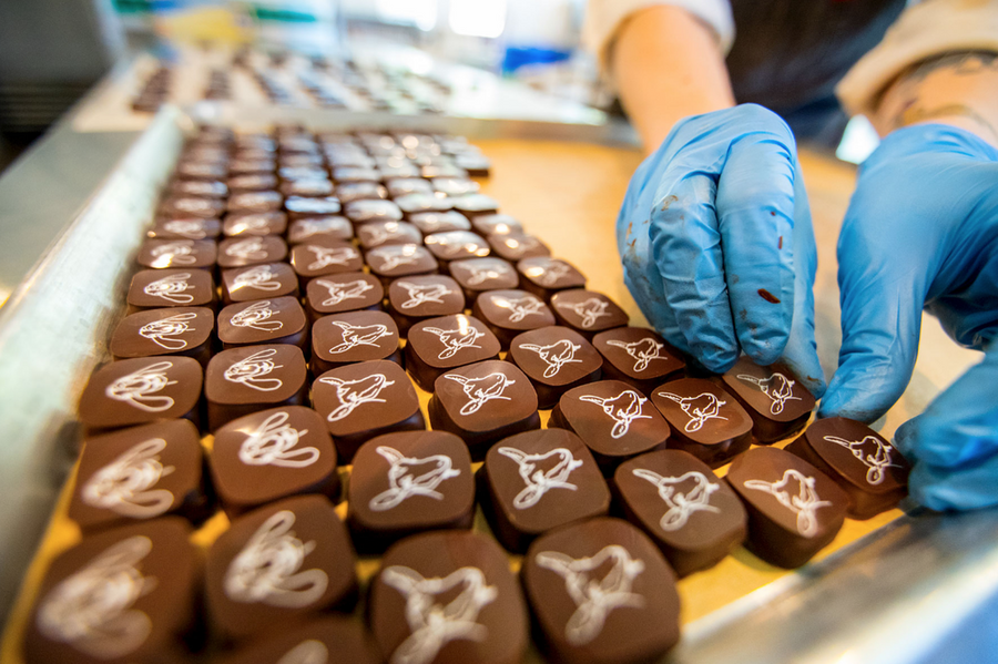 BULK Chocolate Covered Caramels