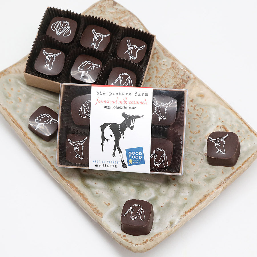 Chocolate Covered Goat Milk Caramels Big Picture Farm