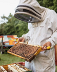 Raw Honey: 1/2 lb Jar