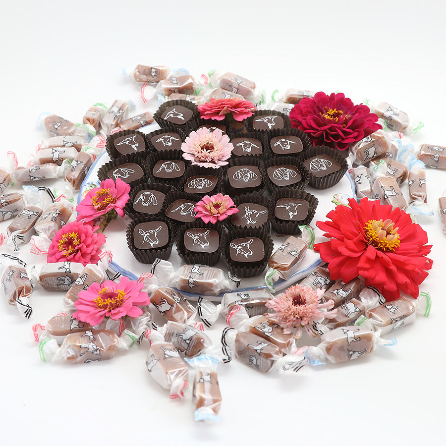 Dessert Collection (Free Shipping)