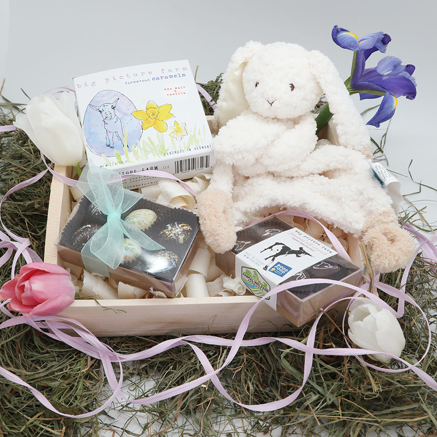 Easter Bunny Basket with Bunny Lovey