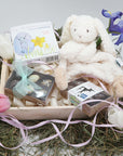 Easter Bunny Basket with Bunny Lovey