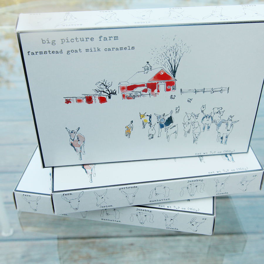 Storyboard Gift Box