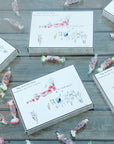 Storyboard Gift Box