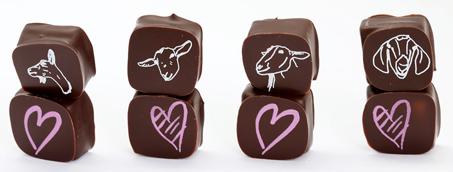 BULK Chocolate Covered Caramels