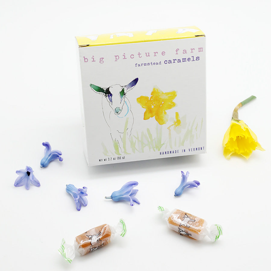 Daffodil Watercolor Box