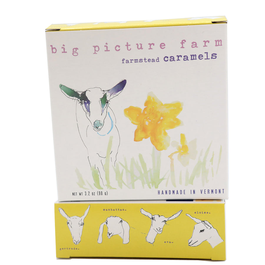 Daffodil Watercolor Box