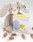 Easter Bunny Stuffy